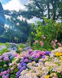Queenstown in New Zealand's fairy tales