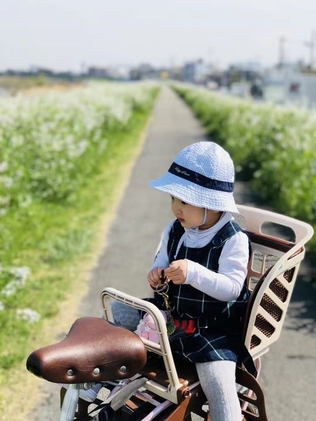 Cherry blossom season is coming again, I really want to go and see the Tamagawa River of the past.