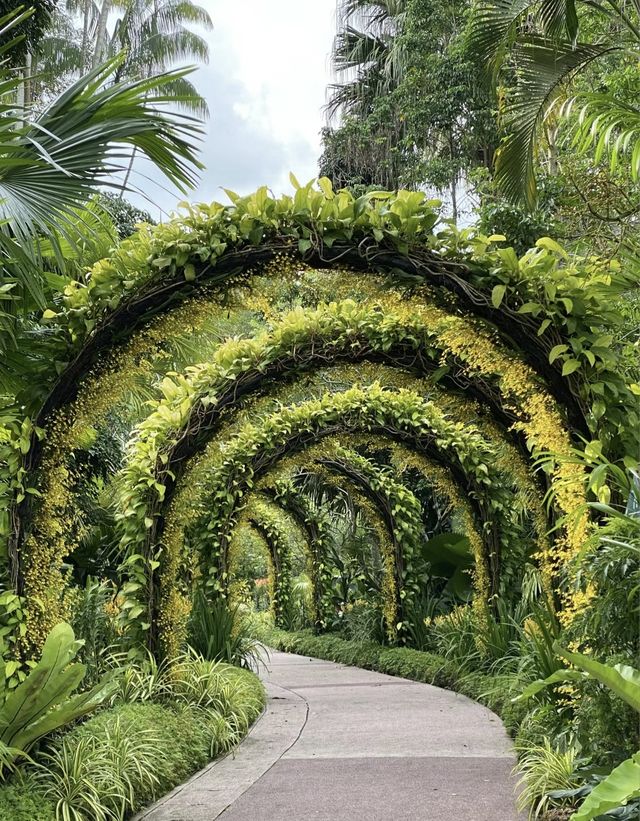 Spring is all about going to see flowers 🌸🌸 | National 
Orchid Garden