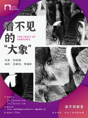 2024南京新劇薈入圍劇目《看不見的大象》|話劇歌劇 | 寧劇場