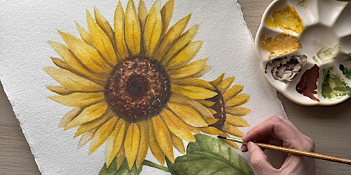 Botanical Watercolour Painting for Beginners | Cass Art