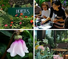 Christmas Botanical Art in Watercolour Workshop at Hortus | 9 Dec 2023 | Flower Dome