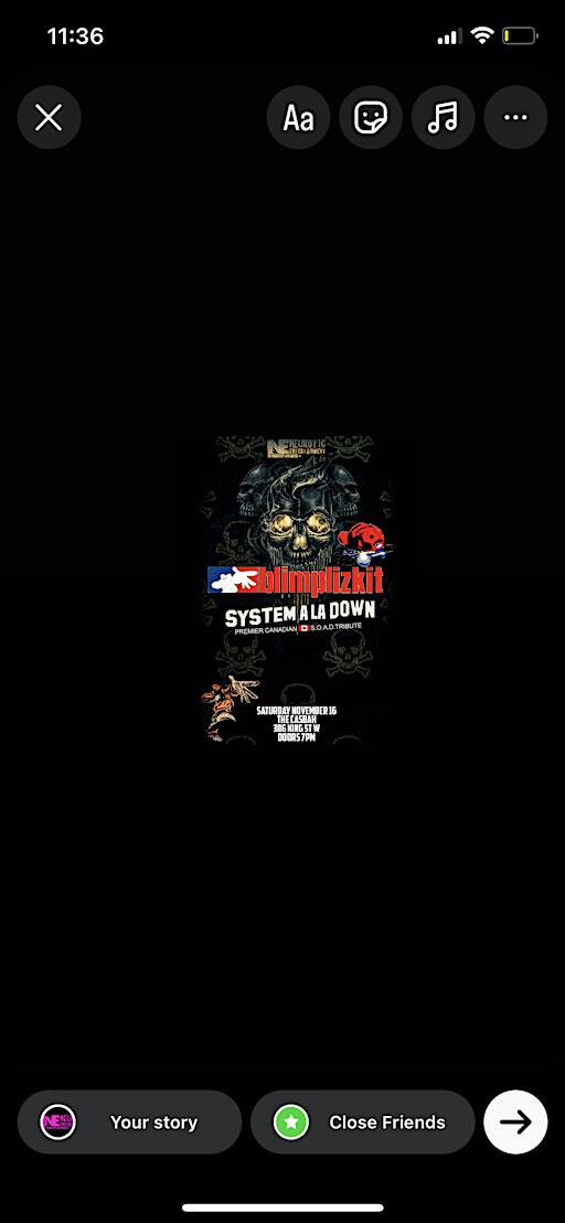 BLIMPLIZKIT & SYSTEM A LA DOWN (LIMP BIZKIT & SOD) & MENTAL INFLICTION