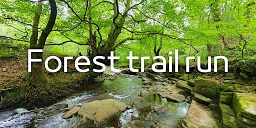 Forest trail run | Llanwynno forest