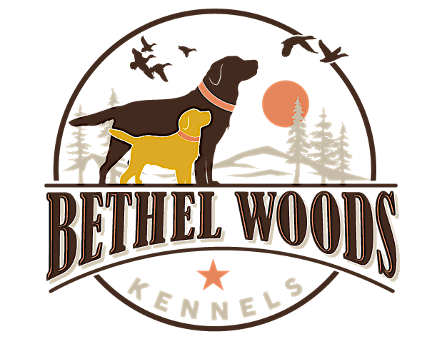 Gun Dog Hunt Test Open Heat | The Mill on Etowah