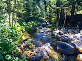 CA Family & Teen Wilderness Experience - June 15-20 | Tunnel Mills Group Campground