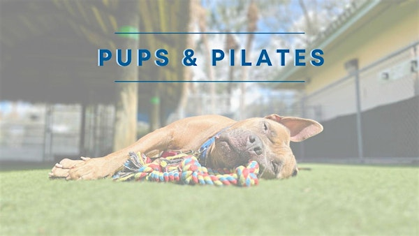 Pups & Pilates | The District Studio  at The Mall at Wellington Green