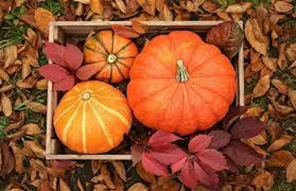Slide Ranch Family Farm Day: Welcoming Fall - October 11th | Slide Ranch