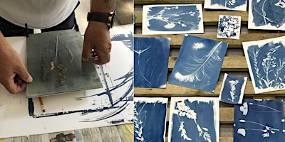 Cyanotype Workshop | Mid Wales Arts Centre