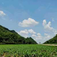 สวิตเซอร์แลนด์​แดน​อุทัยธานี​