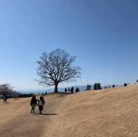 吾妻山公園