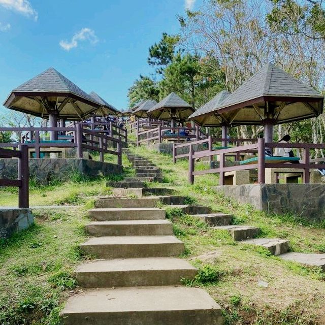 Tagaytay Picnic Grove
