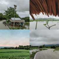 กินลมชมนา ที่บ้านนา  จ.ยะลา