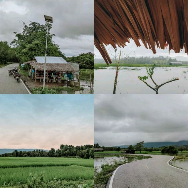 กินลมชมนา ที่บ้านนา  จ.ยะลา
