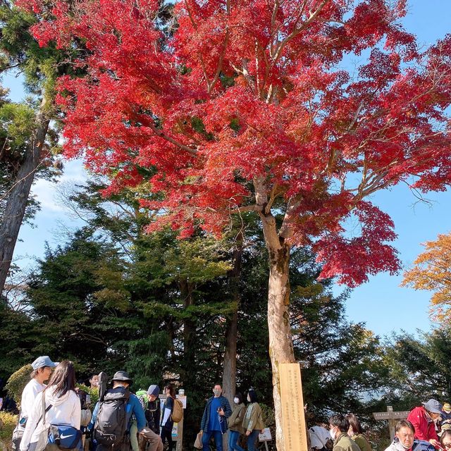 高尾山