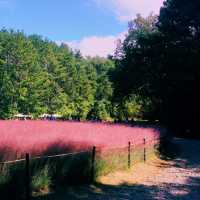 ์ธ์ฐ ํํฌ๋ฎฌ๋ฆฌ ๋ช
์ '์ธ์ฐ๋๊ณต์'