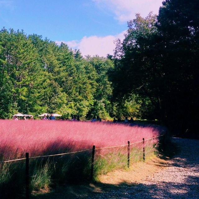 ์ธ์ฐ ํํฌ๋ฎฌ๋ฆฌ ๋ช
์ '์ธ์ฐ๋๊ณต์' ์ธ์ฐ ํํฌ๋ฎฌ๋ฆฌ ๋ช
์ '์ธ์ฐ๋๊ณต์'