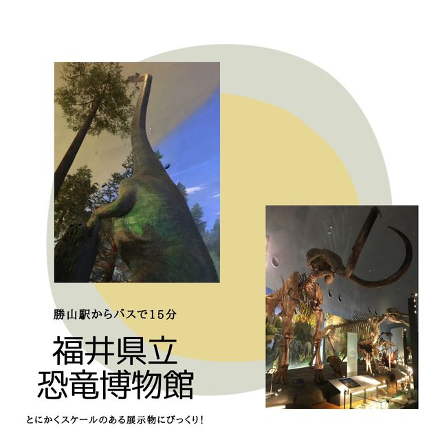【福井】観光スポットまとめ！！