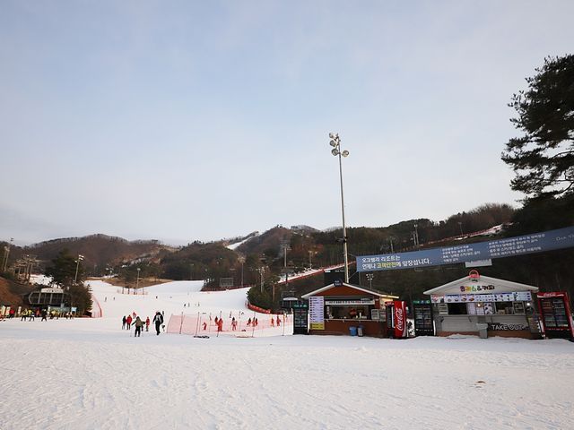 오크밸리스노우파크 6살도 재밌게 탔어요