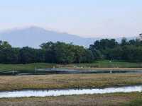 候鳥天堂。香港濕地公園 Hong Kong Wetland Park