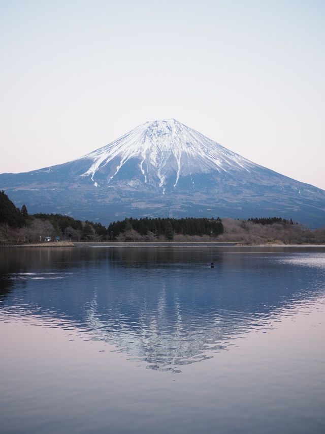 田貫湖