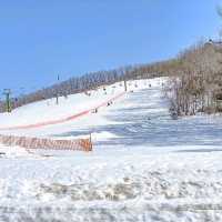 幕別町のスキー場