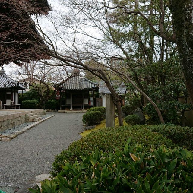 京都の名所 八坂の塔！