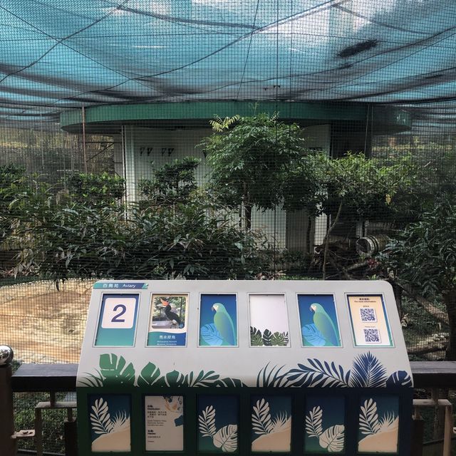 市區觀鳥好地方