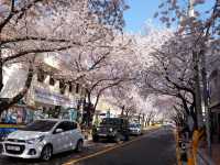 羅曼史之橋釜山余佐川🌸🌸