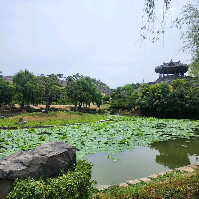 낮에도🌞밤에도🌛 아름다운 수원 방화수류정