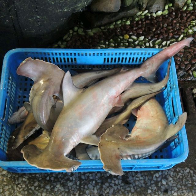 即食新鮮海產
