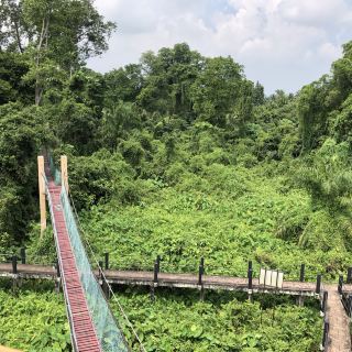 Hutan Pelajaran Air Hitam Dalam