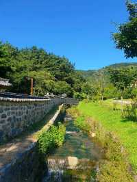 대전의 우암사적공원 🌿
