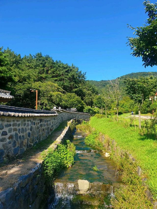 대전의 우암사적공원 🌿