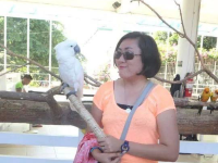 BALUARTE in VIGAN