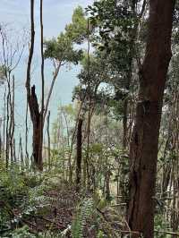 A breathtaking view  ~Bukit Batu Putih~