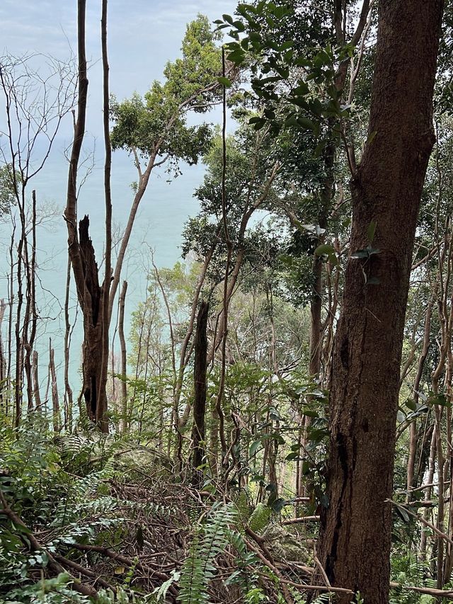 A breathtaking view  ~Bukit Batu Putih~