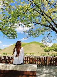경주 핫플 여행지 모아모아💚 