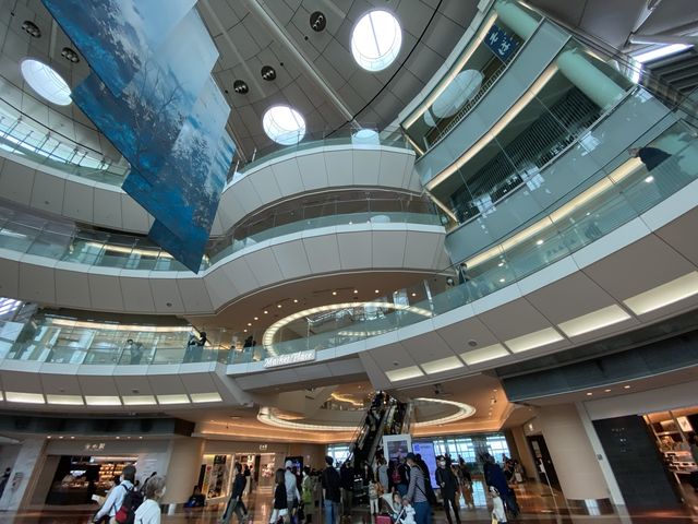 『羽田空港→福岡空港』少しリラックスできる旅の再開。