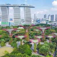 Why not Singapore?!