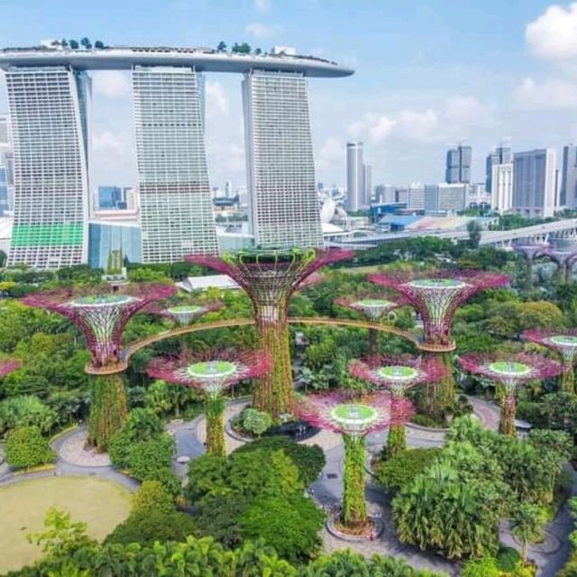 Why not Singapore?!