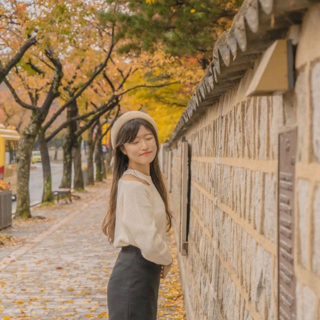 🍂가을을 느끼기 좋은 경주스러운 곳 [경주, 대릉원 돌담길]