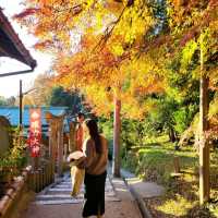 Fushimi Inari pilgrimage hike