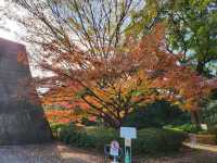 日皇的後花園 - 皇居東御苑
