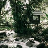 บ้านธารกล่อม เชียงใหม่ 
