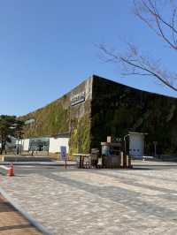 전시회 보며 문화 생활도 하고, 산책하기도 좋은 이곳! 부산현대미술관