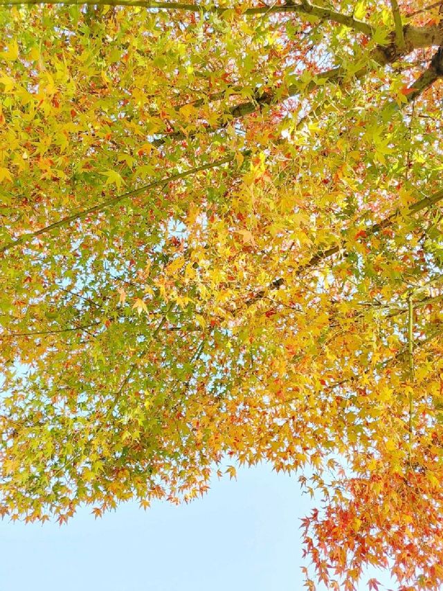みやこめっせ近くの児童公園