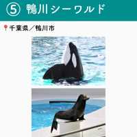 【千葉】行ってよかった千葉の観光地6選