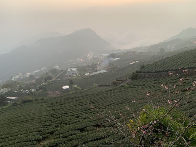 阿里山石棹步道群-吳鳳廟