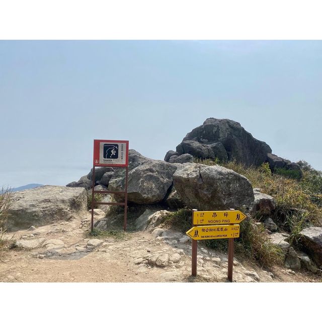 征服香港第二高山峰⛰️-鳳凰山
